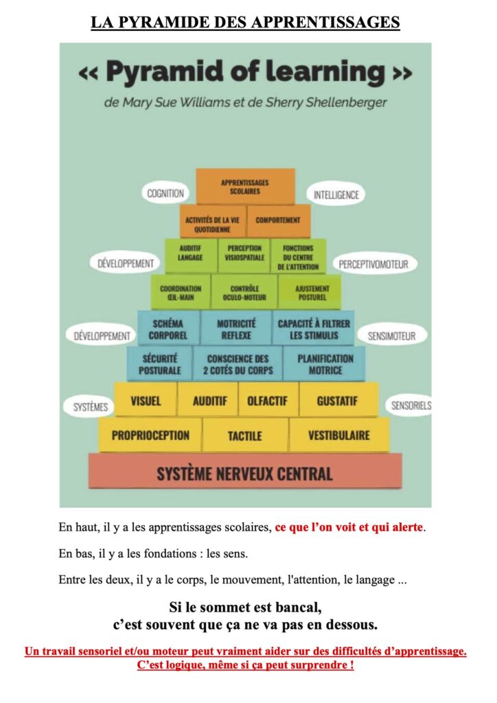 Pyramide représentant les compétences à développer pour intégrer correctement des apprentissages, du système nerveux aux apprentissages scolaires