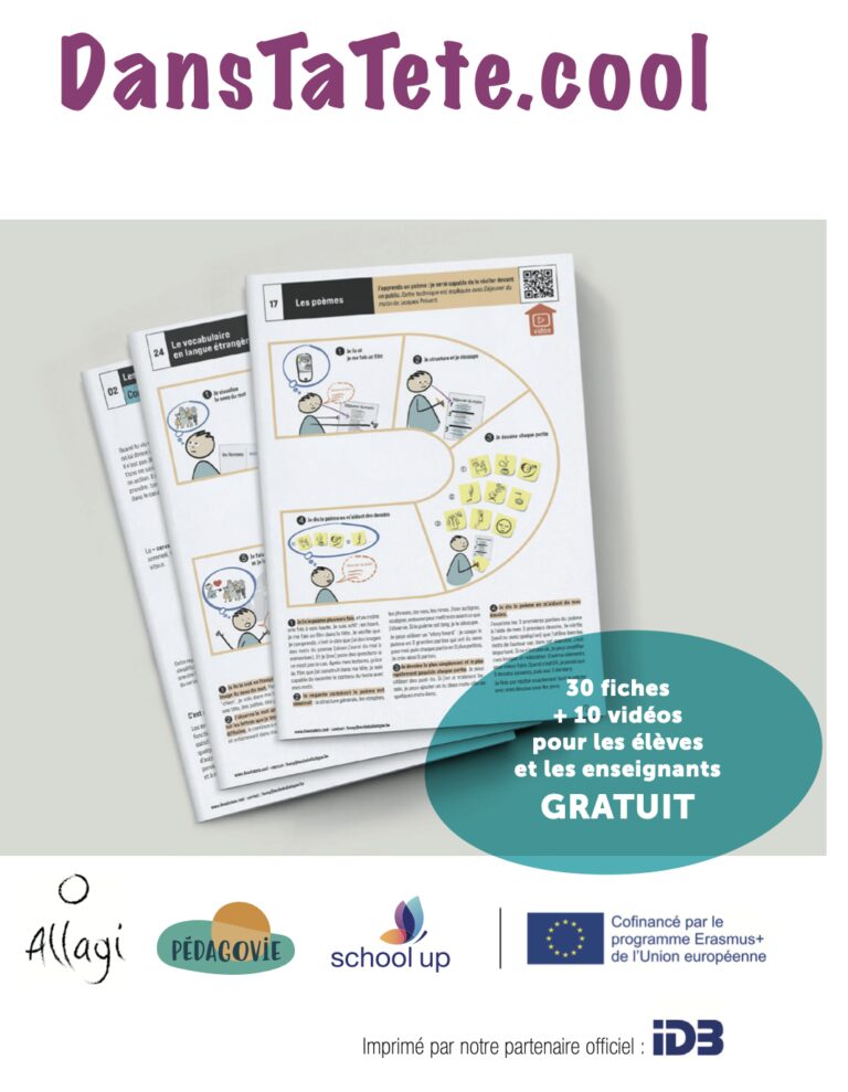 guide,ludique,pédagogique,stratégies d'apprentissage,partenaires